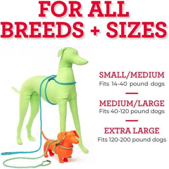 Harness Lead No Pull Dog Harness & Leash Set,AntiPull Dog Harness for All Breeds - Picture 5 of 7